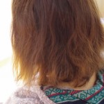 髪のダメージ加速型ヘアトリートメント　その１