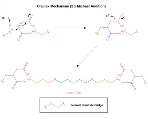 olaplex-mechanism